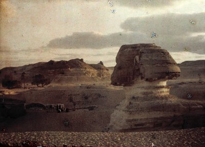 Sphinx von Unbekannter Künstler