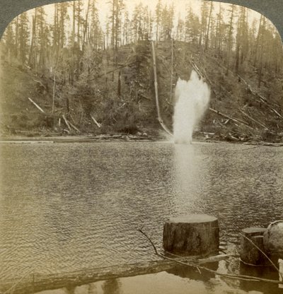 Wasserrutsche, Oregon, USA von Underwood and Underwood
