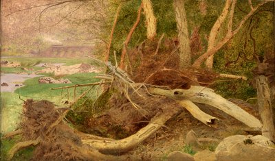 Waldlandschaft mit Brücke von Unidentified