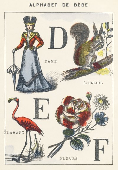 D E F: Dame, Eichhörnchen, Flamingo, Blumen von Unknown artist