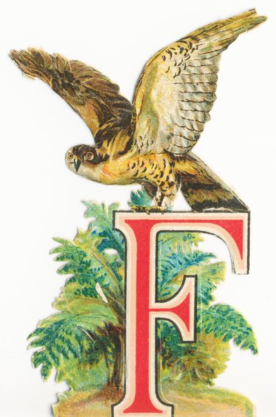 F: Falke von Unknown artist