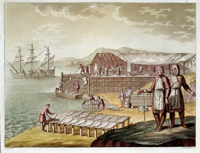 Fischen und Trocknen von Kabeljau in Neufundland (Gravur) von Unknown artist