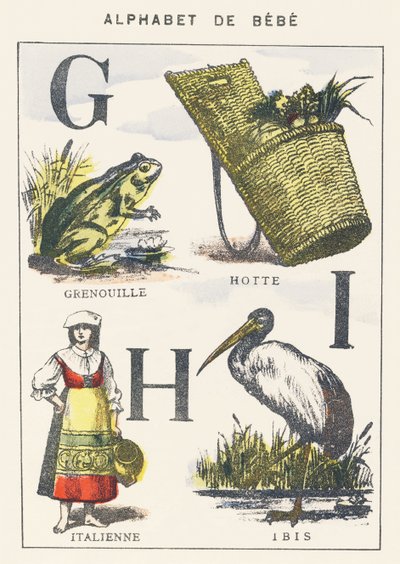 G H I: Frosch, Kapuze, Italiener, Ibis von Unknown artist