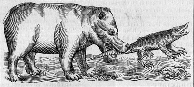 Nilpferd. (Nach Pierre Belon) von Unknown artist