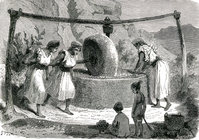 Olivenmühle in Algerien 1885 von Unknown artist