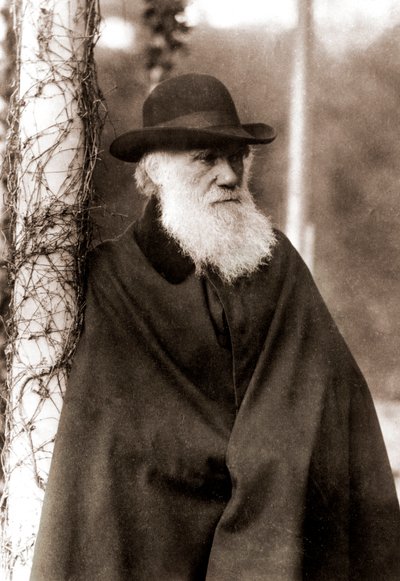Porträt von Charles Darwin (1809-1882) von Unknown artist