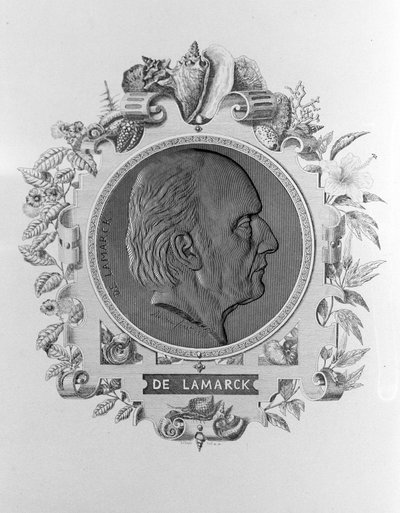 Porträt von Lamarck (1744 - 1829) von Unknown artist