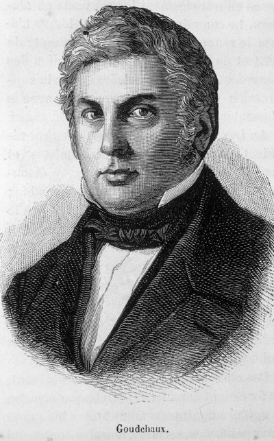 Porträt von Michel Goudchaux von Unknown artist