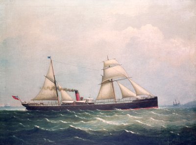 S.S. Fooksang von Unknown artist