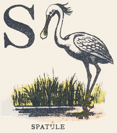 S: Spatel von Unknown artist