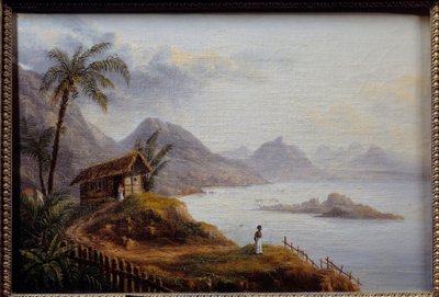 Ansicht von Martinique von Unknown artist