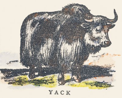 Y: Yak von Unknown artist