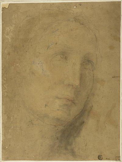 Kopf, der nach oben schaut von Unknown Sienese