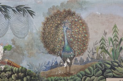 Ein Pfau (Detail) von Unknown artist