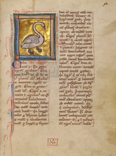 Ein Schwan von Unknown artist