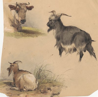 Eine Kuh und zwei Ziegen von Unknown artist