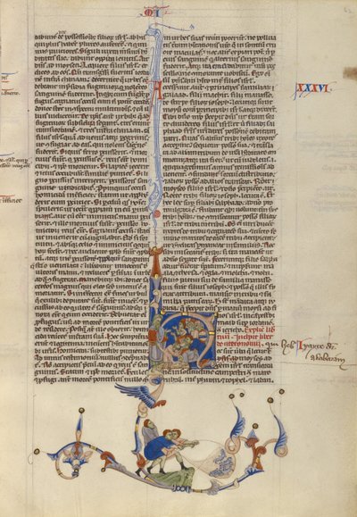 Abteibibel von Unknown artist
