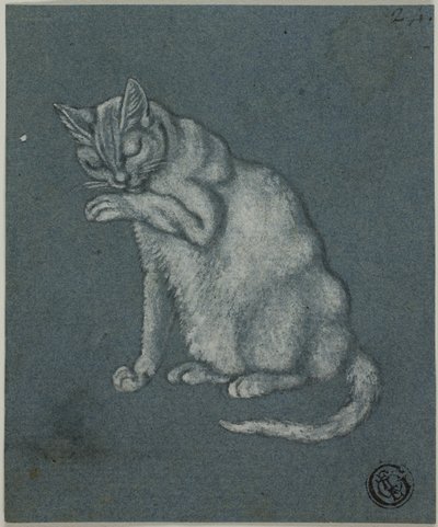 Katze leckt Pfote von Unknown artist