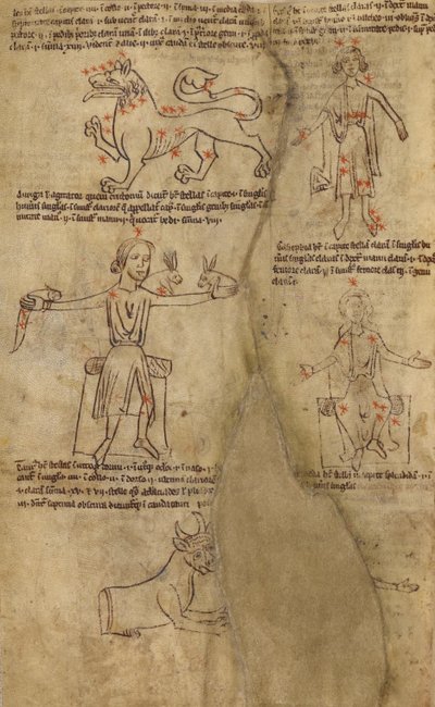 Sternbilddiagramme von Unknown artist
