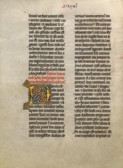 Dekorierter Initialbuchstabe N von Unknown artist