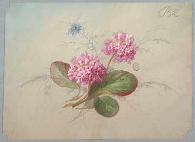 Entwurf für Tapeten und Textilien: Blumen von Unknown artist