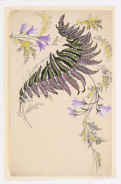 Zeichnung von Unknown artist