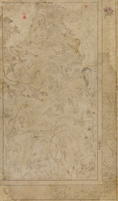 Zeichnung von Tieren und Pflanzen von Unknown artist