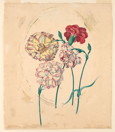 Vier Nelken von Unknown artist