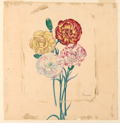 Vier Nelken von Unknown artist