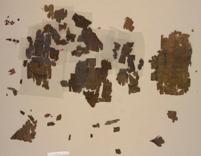 Fragmente mit geflügelten Löwen in Rundmedaillons von Unknown artist
