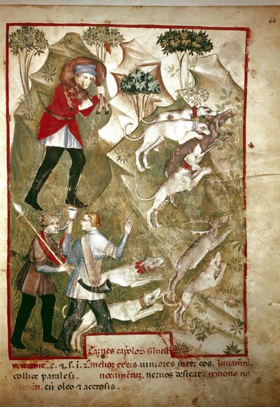 Jagd (Miniatur, 14. Jahrhundert) von Unknown artist
