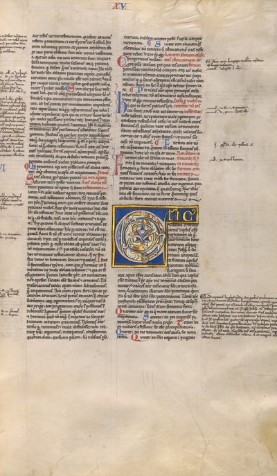 Bewohnte Initiale C von Unknown artist