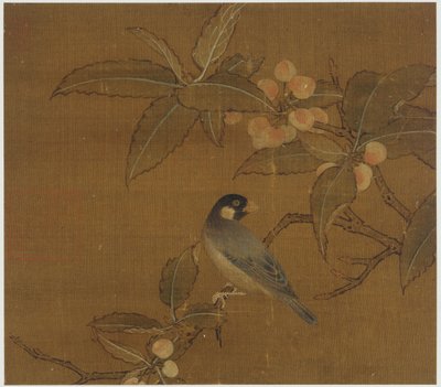 Java-Sperling auf einem Beerenzweig von Unknown artist