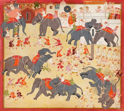 Maharana Raj Singh beobachtet einen Elefantenkampf von Unknown artist