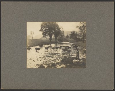Mann mit Kühen in einem Bach von Unknown artist