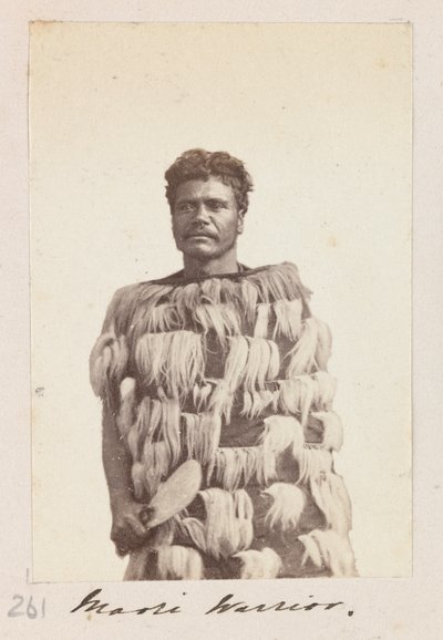 Maori-Krieger, um 1876 von Unknown artist