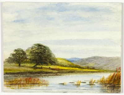 Sumpfige Landschaft von Unknown artist