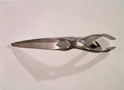 Medizinisches Instrument: ein Dilatator von Unknown artist