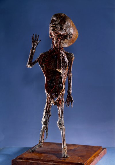 Medizin: Schalenfigur von Unknown artist