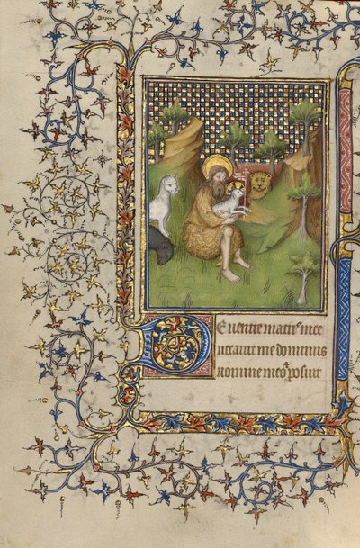 Johannes der Täufer in der Wildnis von Unknown artist