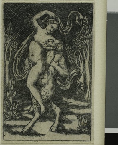 Satyr trägt eine Nymphe von Unknown artist