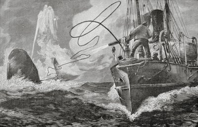 Dampfer als Walfänger von Unknown artist