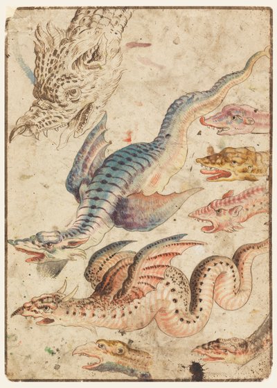Studien eines Drachen von Unknown artist