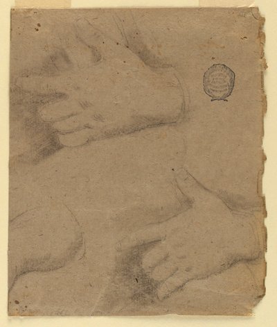 Studie: Drei linke Hände von Unknown artist