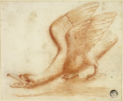 Schwan von Unknown artist