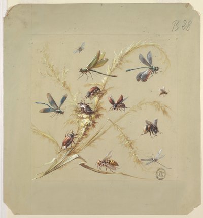 Textil- oder Tapetendesign: Insekten von Unknown artist