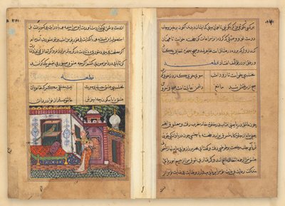 Tuti-Nama (Geschichten eines Papageis) von Unknown artist