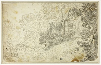 Bewaldete Flusslandschaft mit Blick auf eine Burg von Unknown artist