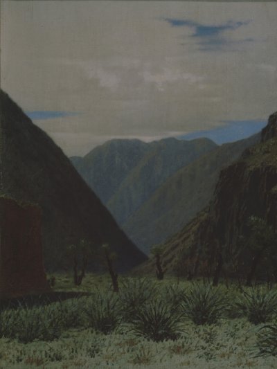 Der Barskaun-Pass von Vasili Vasilievich Vereshchagin
