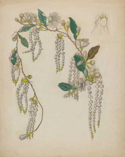 Brautkranz von Verna Tallman